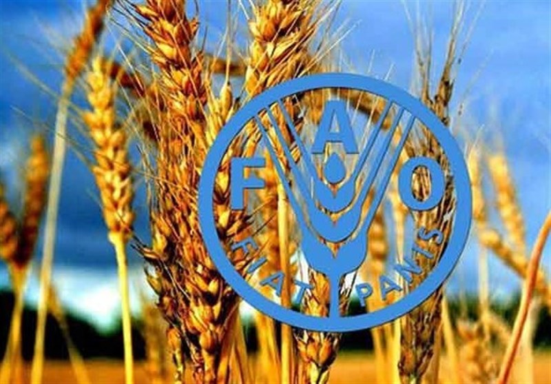 La FAO prône l&rsquo;usage du nucléaire civil pour nourrir la planète face au dérèglement climatique